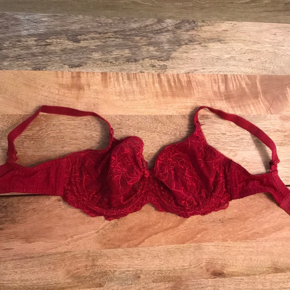 Dark red mesh bra